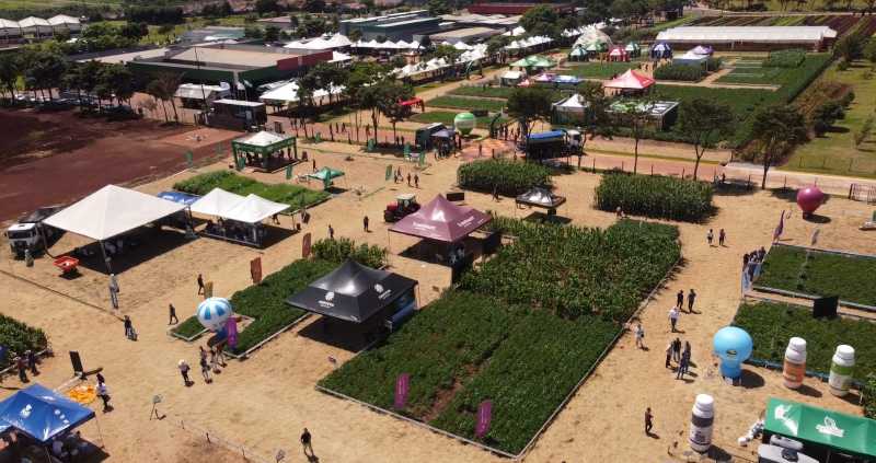 Cityfarm FAG 2025 aproxima universidade, mercado e comunidade